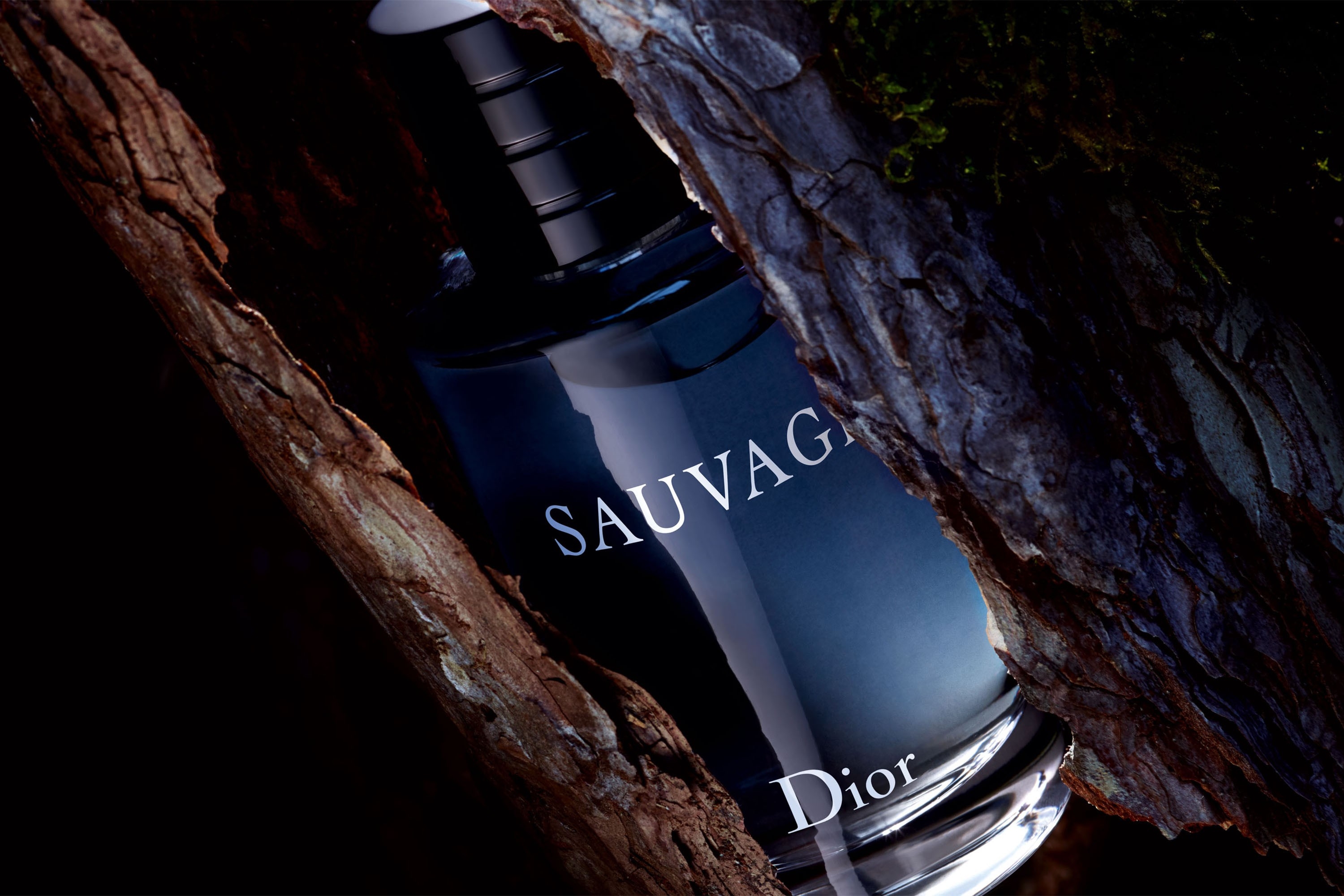 dior Sauvage