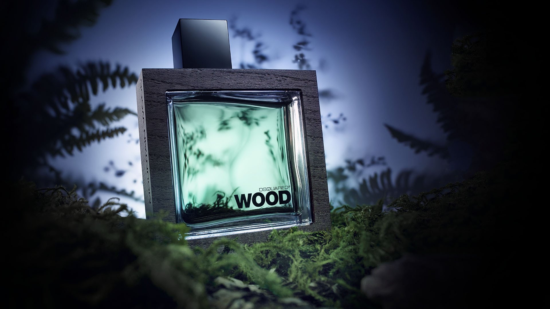 Dsquared He Wood Rocky Mountain