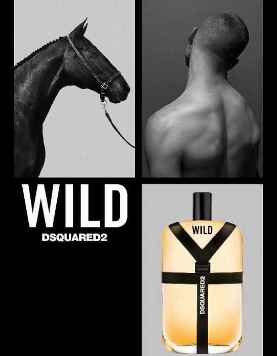 Dsquared Wild