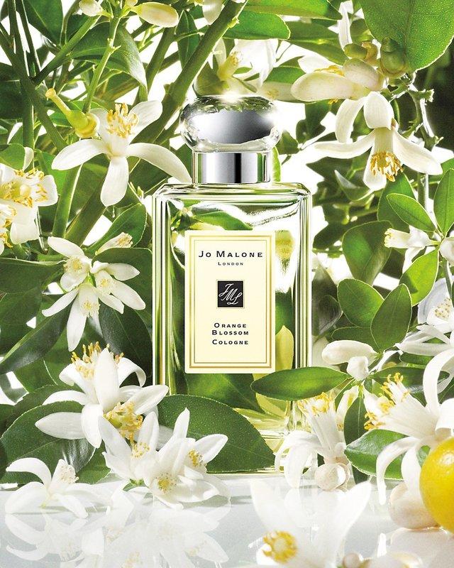 Jo Malone Orange Blossom Cologne 100ml 橙花中性古龍水(連盒)  百貨零售批發網店│Penfolds奔富│歐美名牌香水